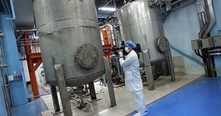 Iran not likely to make nuclear arsenals by 2013: US